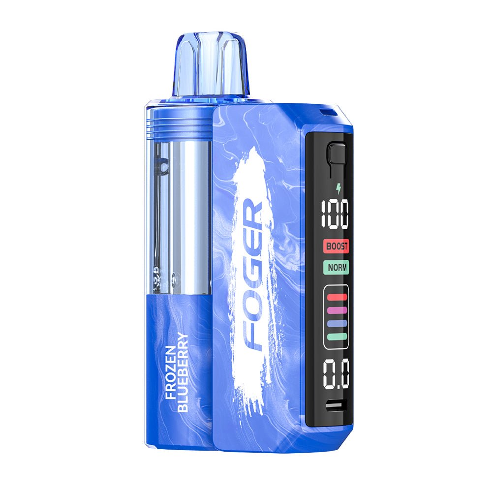 Foger Switch Pro 30K Disposable Vape Kit — Frozen Blueberry