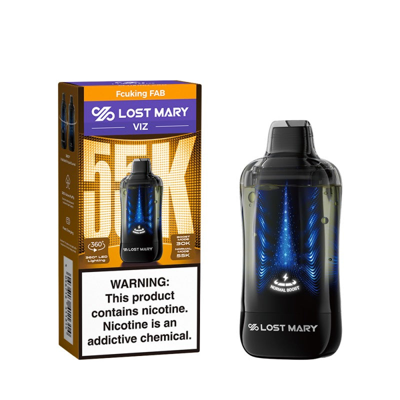 Lost Mary VIZ 55K Disposable Vape — Fcking Fab