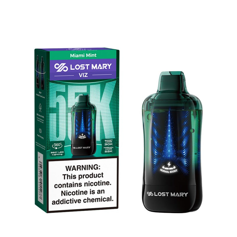 Lost Mary VIZ 55K Disposable Vape — Miami Mint