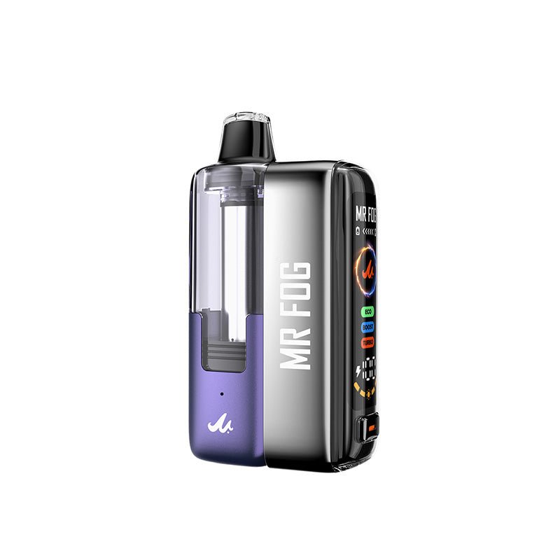 Mr. Fog 45K Puff Disposable Kit — Blue Rancher Blow Pop