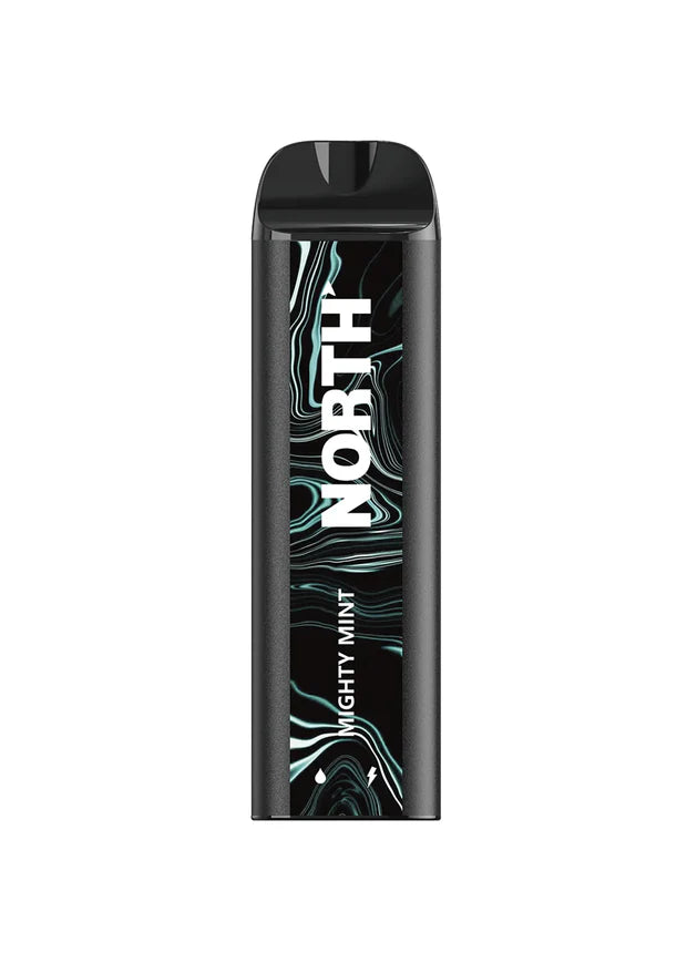 NORTH 5000 Disposable Vape — Mighty Mint