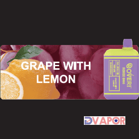 Rover Robox 6000 Puff Dual Mesh Coil — Grape with Lemon
